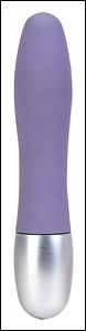 Vibromasseur DISCRETION - Lilas / Argent